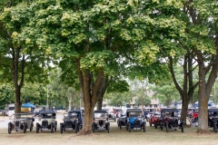 Line of Chummys under the Trees